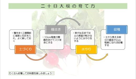 【無料】Word練習用問題：SmartArt（スマートアート）②
